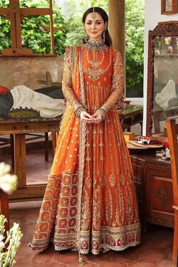 Afrozeh Embroidered Net Maxi