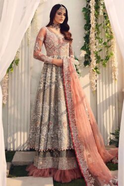Aisha Imran Embroidered Net Frock