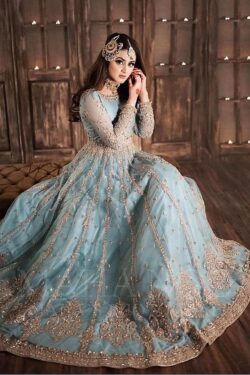 Embroidered Net Maxi