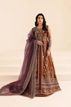 Farasha Embroidered Net Frock