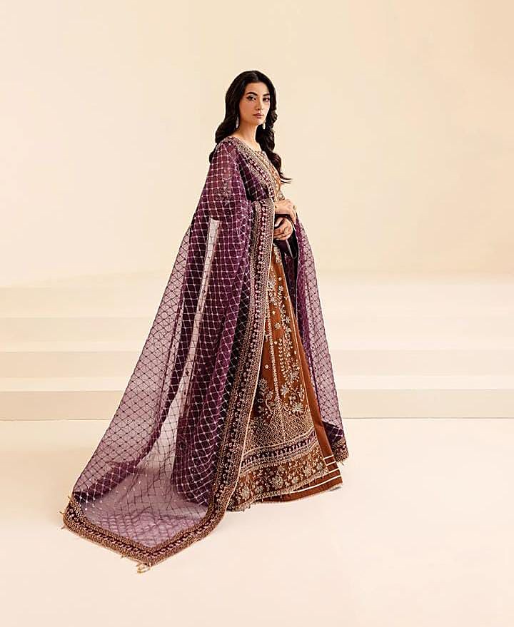 Farasha Embroidered Net Frock - Image 2