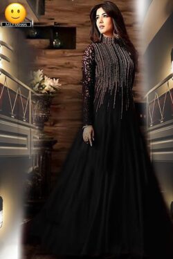Indian Embroidered Chiffon Maxi