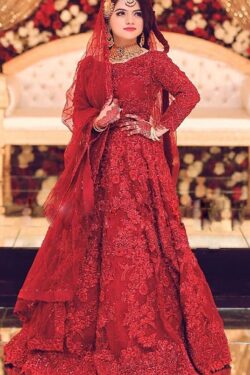 Maryam & Maria Bridal Net Frock